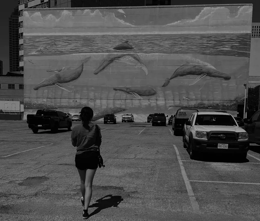 Captura de pantalla 2024-10-30 a la(s) 2.33.51 p.m.