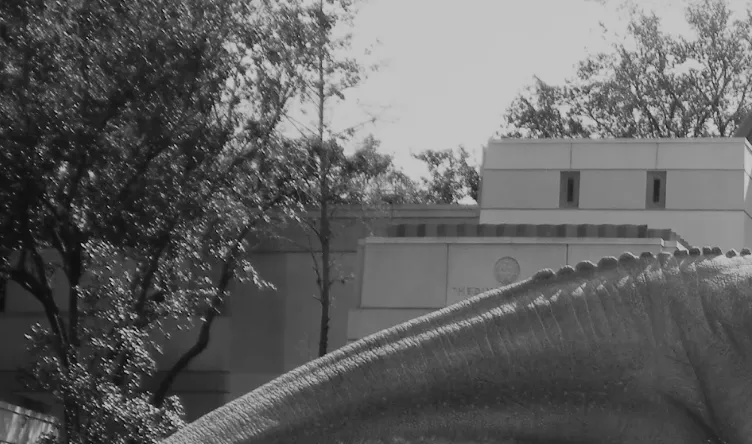 escamas